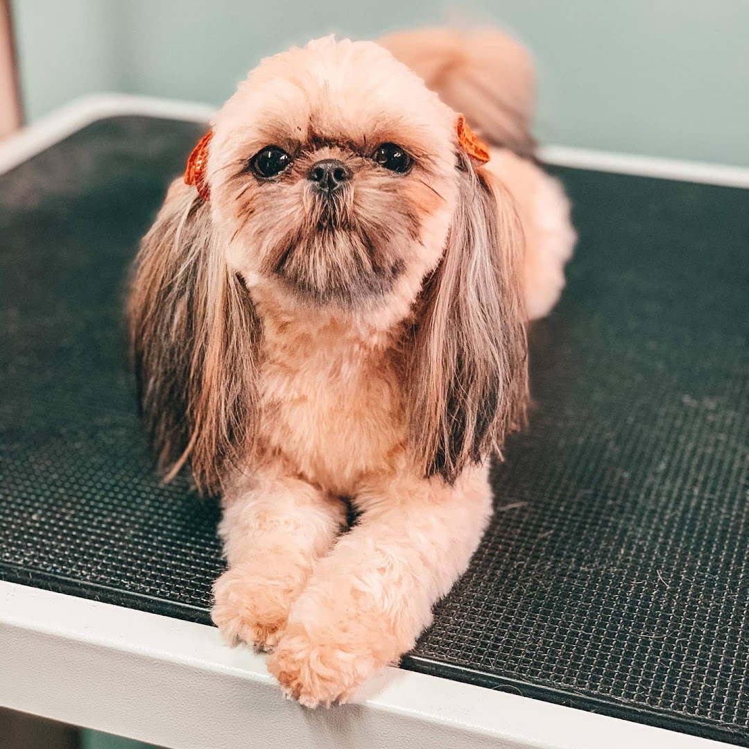 Happy Pooch Styling & Spa