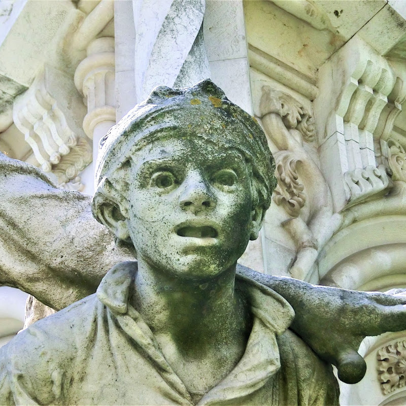 3 image
