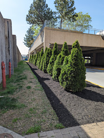 Outdoor Restoration, LLC - Photo 2 - Car repair in , Louisville
