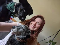 Waglet PDX - Car repair in , Hillsboro - Rated 0.0/5