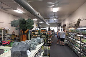 LLLReptile and Supply Escondido