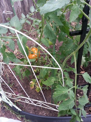 Park «Richfield Park», reviews and photos, 7250 Chapman Rd, North Richland Hills, TX 76182, USA