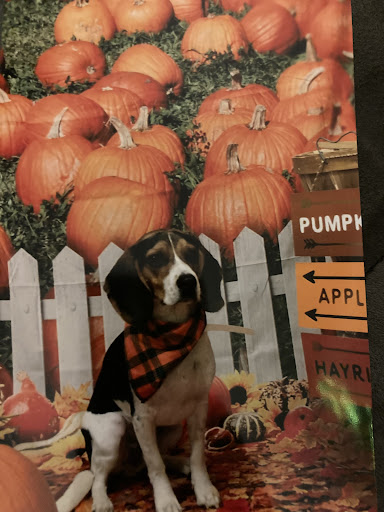 Pet Supply Store «PetSmart», reviews and photos, 4465 US-14, Crystal Lake, IL 60014, USA