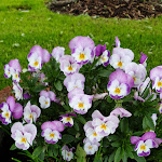 Photo n°4 de l'avis de JaNi.d fait le 31/05/2021 à 18:02 sur le  Gaststätte & Hotel Zur Burg à Posterstein