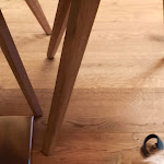 Photo n°4 de l'avis de Claudia.i fait le 05/06/2022 à 20:26 sur le  Hotel Heckl à Kinding