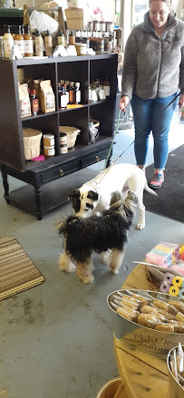 Walk By Faith Doggie Bakery & Country Store - Photo 7 - Car repair in Cromwell, CT, Hartford