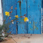 Photo n°3 de l'avis de Francesco.i fait le 21/10/2021 à 22:43 sur le  ristorante-stabilimento balneare La Perla à Nerano