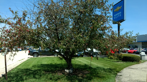 Shopping Mall «Lynn Plaza Shopping Center», reviews and photos, 520-600 W Dundee Rd, Wheeling, IL 60090, USA