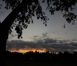 RTH Kedayunan Kabat Banyuwangi photo
