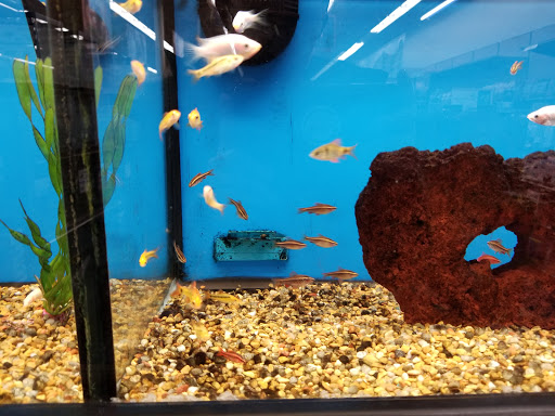 Pet Supply Store «Petco Animal Supplies», reviews and photos, 22000 Dulles Retail Plaza #110, Sterling, VA 20166, USA