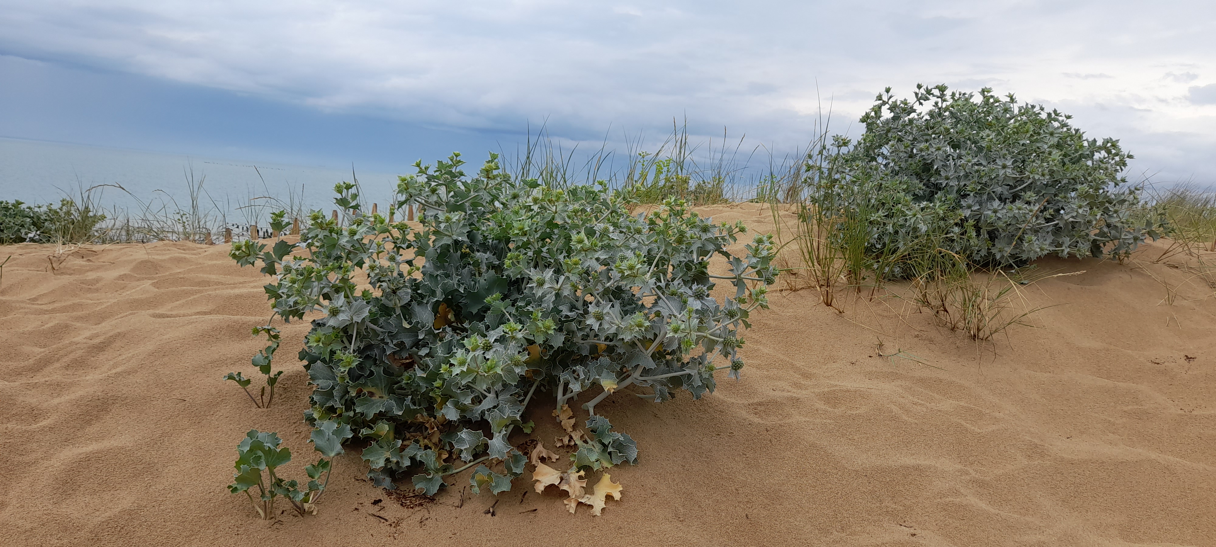 Photo n° 2 de l'avis de stéphane.a fait le 26/06/2023 à 15:13