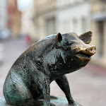 Photo n°1 de l'avis de Katja.. fait le 25/02/2024 à 22:05 sur le  Café Glücklich à Wismar