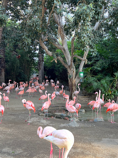 Hotel «DoubleTree by Hilton Hotel Los Angeles - Norwalk», reviews and photos, 13111 Sycamore Dr, Norwalk, CA 90650, USA