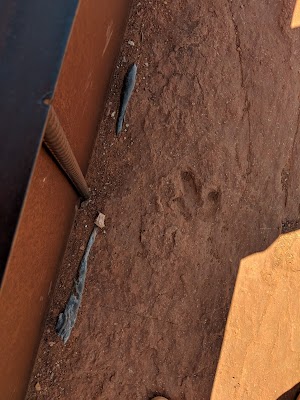 Warner Valley Dinosaur Track Site - photo 80