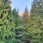 Photo n°5 de l'avis de Gianpaolo.o fait le 14/08/2022 à 11:38 sur le  Albergo San Carlo à Ormea