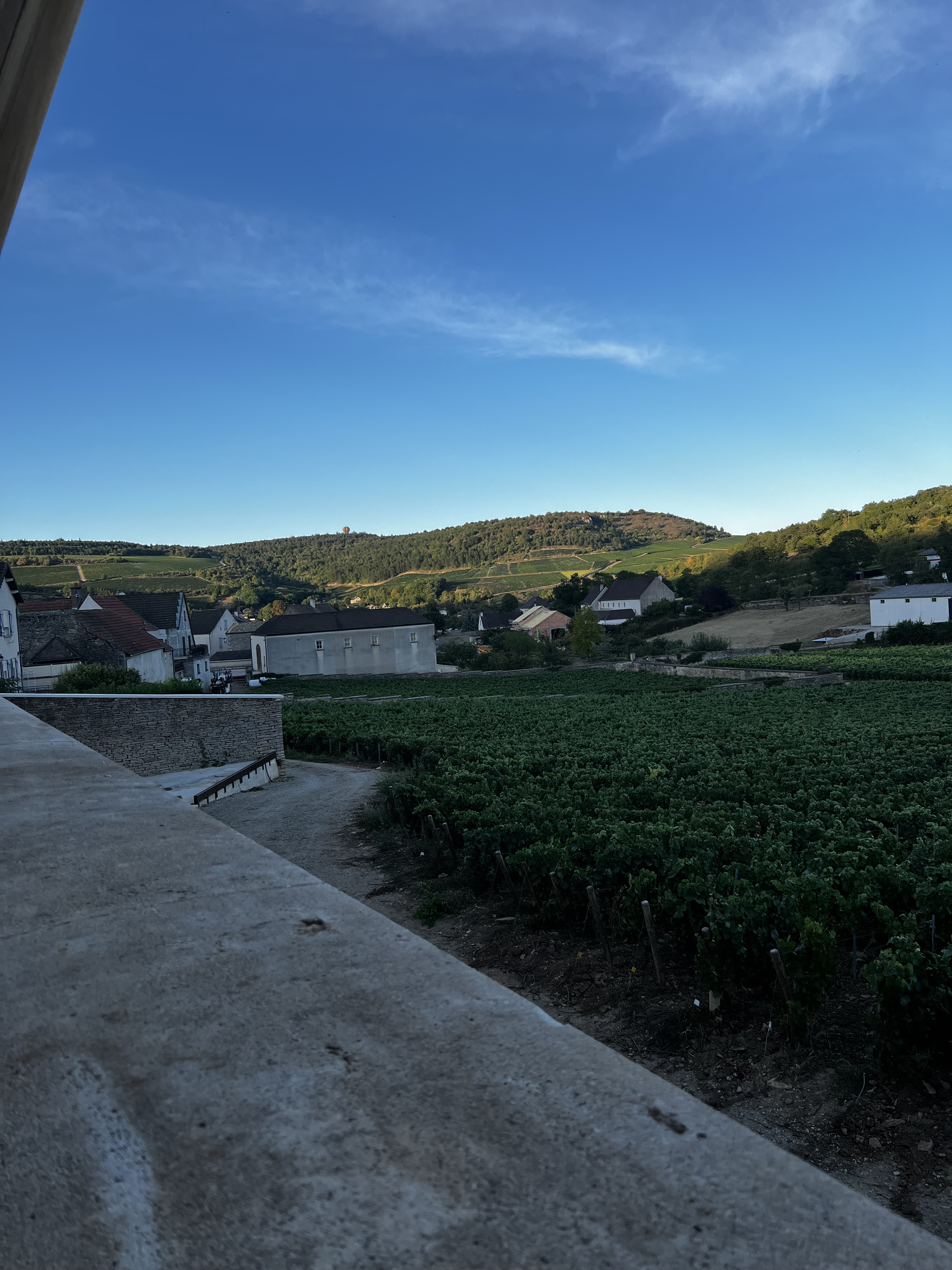 Photo n° 2 de l'avis de Zara.a fait le 18/10/2022 à 20:31