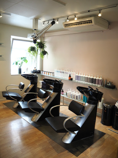 Salon Helle in Odense, Odense