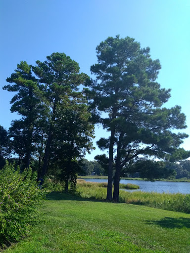 Tourist Attraction «Wetlands overlook park», reviews and photos, 4020 11th St, North Beach, MD 20714, USA