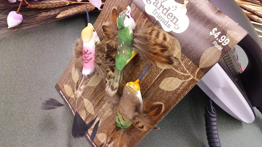 Craft Store «Hobby Lobby», reviews and photos, 5501 Patrick Way, Birmingham, AL 35235, USA