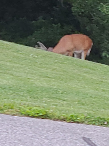 Park «Waterloo Park», reviews and photos, 6951 Old Waterloo Rd, Elkridge, MD 21075, USA