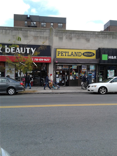 Petland Discounts - Rego Park, 94-18 63rd Dr, Rego Park, NY 11374, USA, 