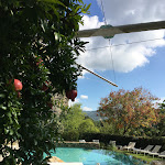 Photo n°3 de l'avis de Sandra.. fait le 14/10/2017 à 09:45 sur le  Eden Rock Resort à Florence