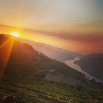 Photo n°1 de l'avis de Andre.o fait le 15/07/2022 à 15:18 sur le  Casa Vale do Douro à Mesão Frio