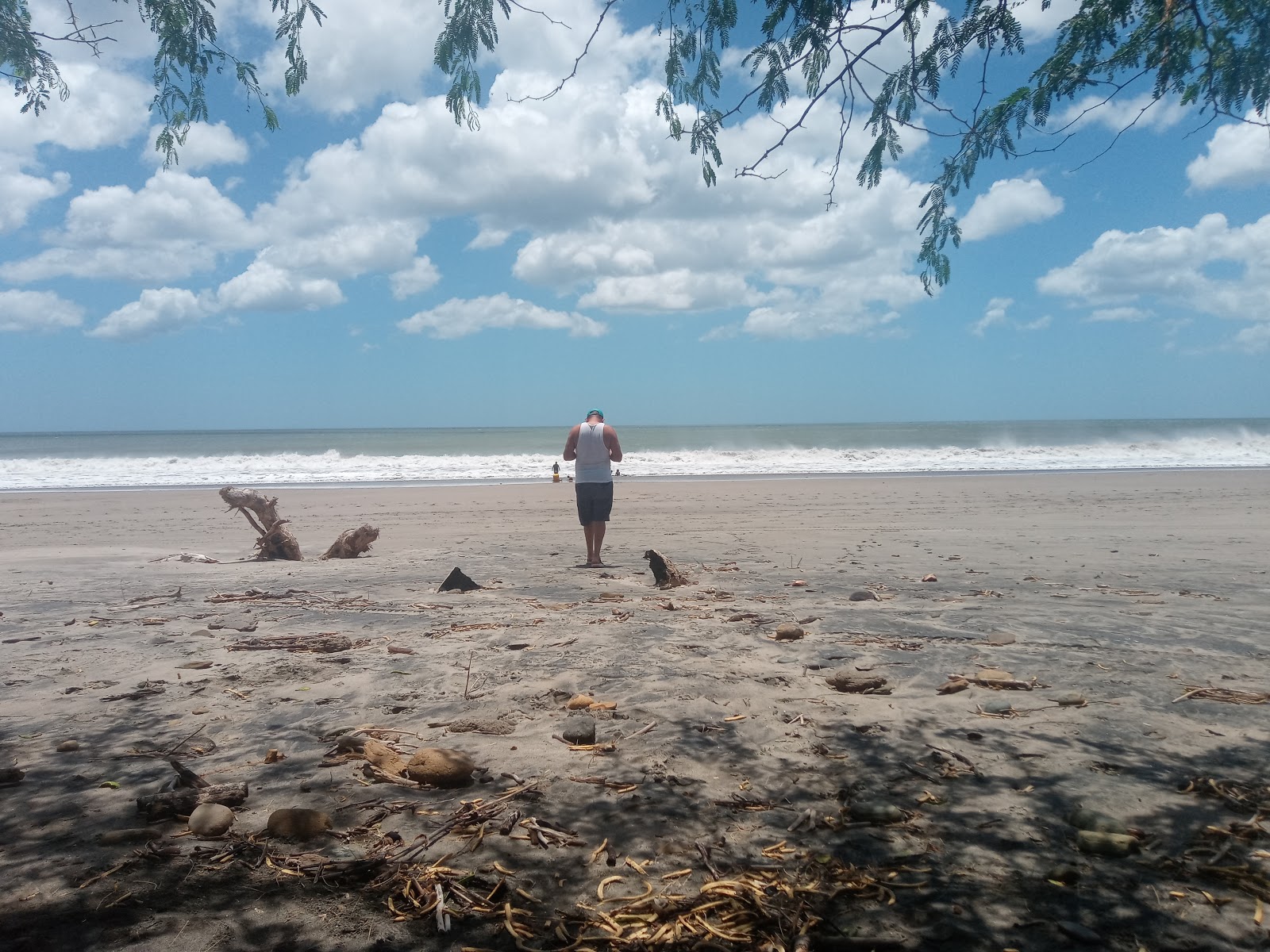 Playa Jiquelite photo #8