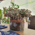 Photo n°3 de l'avis de MelEn. fait le 11/09/2021 à 19:39 sur le  Hotel & Café Speeter à Weisenheim am Berg