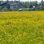 Photo n°4 de l'avis de Juergen.c fait le 13/06/2022 à 18:17 sur le  Hotel zum Schwanen Ziefle à Pfalzgrafenweiler