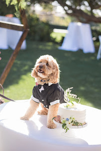 Master Plans Events & Designs - Photo 2 - Car repair in Torrance, CA, Los Angeles