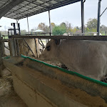 Photo n°2 de l'avis de Tommaso.i fait le 11/11/2018 à 13:56 sur le  La Conta à Trenzano