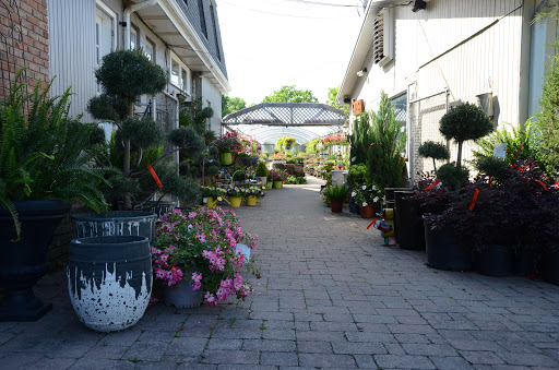 Garden Center «Schott Gardens», reviews and photos, 2209 Nashville Rd, Bowling Green, KY 42101, USA