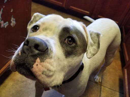 13576 W Camino Del Sol # 1, Sun City West, AZ 85375, USA