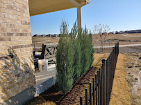 Web Permaculture - Irrigation, Drainage, Permascape, Landscape & Landscape Lighting - Photo 4 - Car repair in McKinney, TX, McKinney
