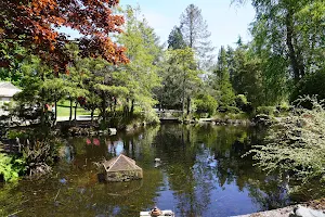 Duck Pond image