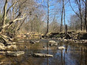 Lake Accotink Park - photo 17