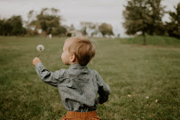 Snapping Snape's Photography - Photo 3 - Car repair in , Detroit