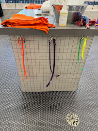 Pet Food Express - Photo 8 - Car repair in Huntington Beach, CA, Huntington Beach