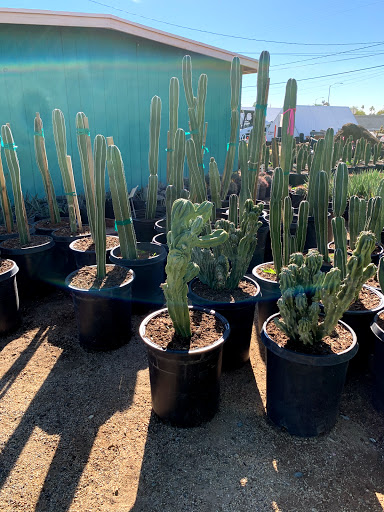 Gas Station «Circle K», reviews and photos, 12707 W Grand Ave, Surprise, AZ 85374, USA