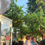 Photo n°3 de l'avis de Camilla.l fait le 16/07/2023 à 18:49 sur le  Da Marcello Trattoria à Elze