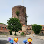 Photo n°7 de l'avis de Tanja.� fait le 31/07/2021 à 05:10 sur le  Schloss Saaleck à Hammelburg