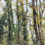 Photo n°8 de l'avis de Antonella.o fait le 15/08/2019 à 20:55 sur le  Cisterna à Poggio Catino