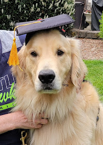 Dog Training with Jeanne