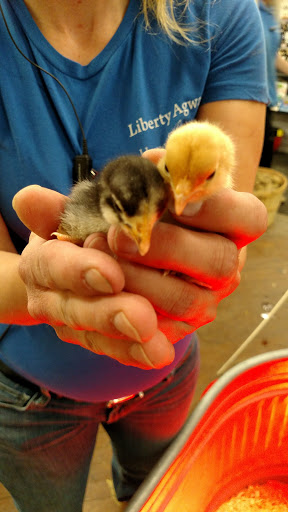 Garden Center «Liberty Agway Home & Garden Center», reviews and photos, 11 Bon Jovi Ln, Liberty, NY 12754, USA