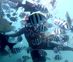 Bangsring Underwater photo