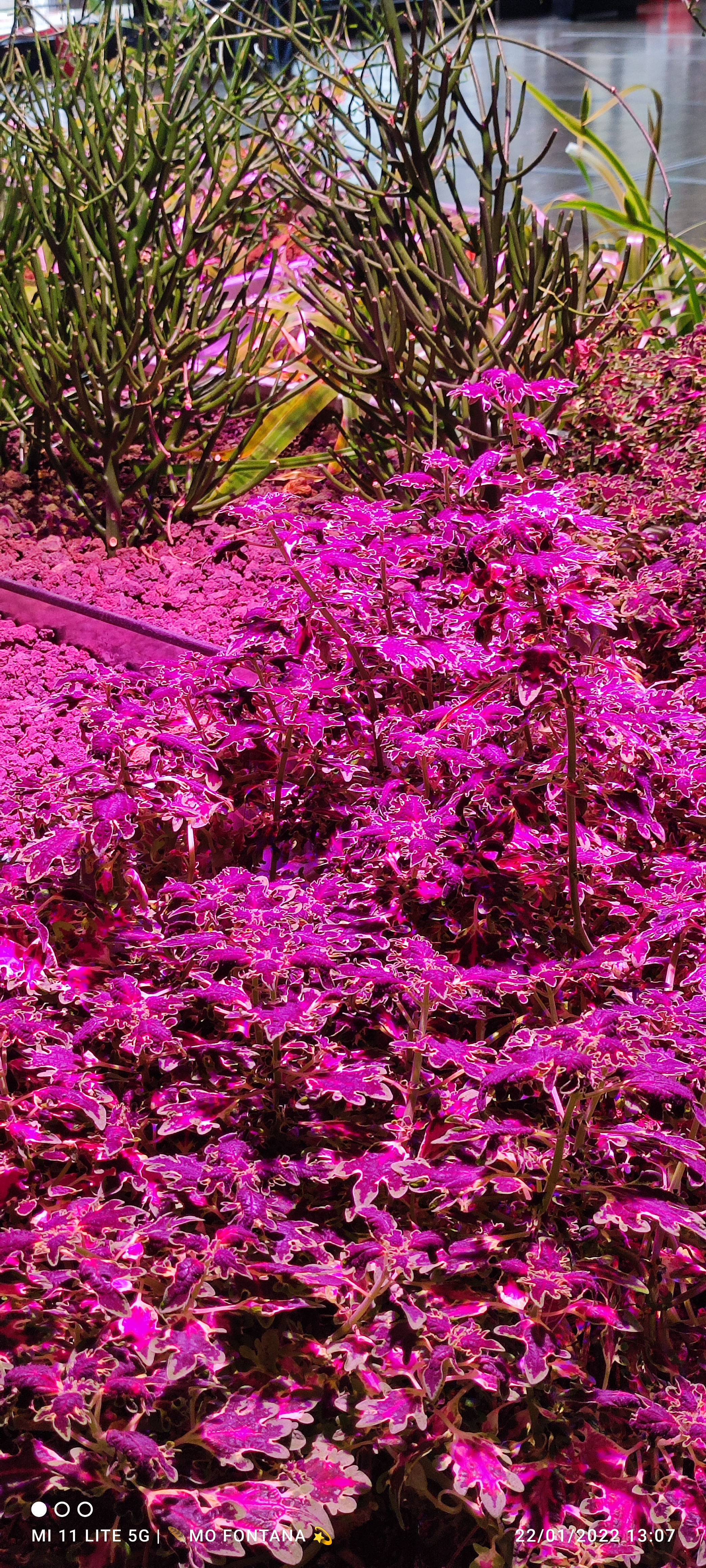 Photo n° 33 de l'avis de monique.O fait le 22/01/2022 à 12:29