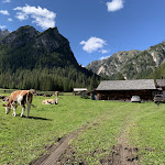 Photo n°3 de l'avis de Gloria.o fait le 30/09/2020 à 20:05 sur le  Malga Foresta à Prags