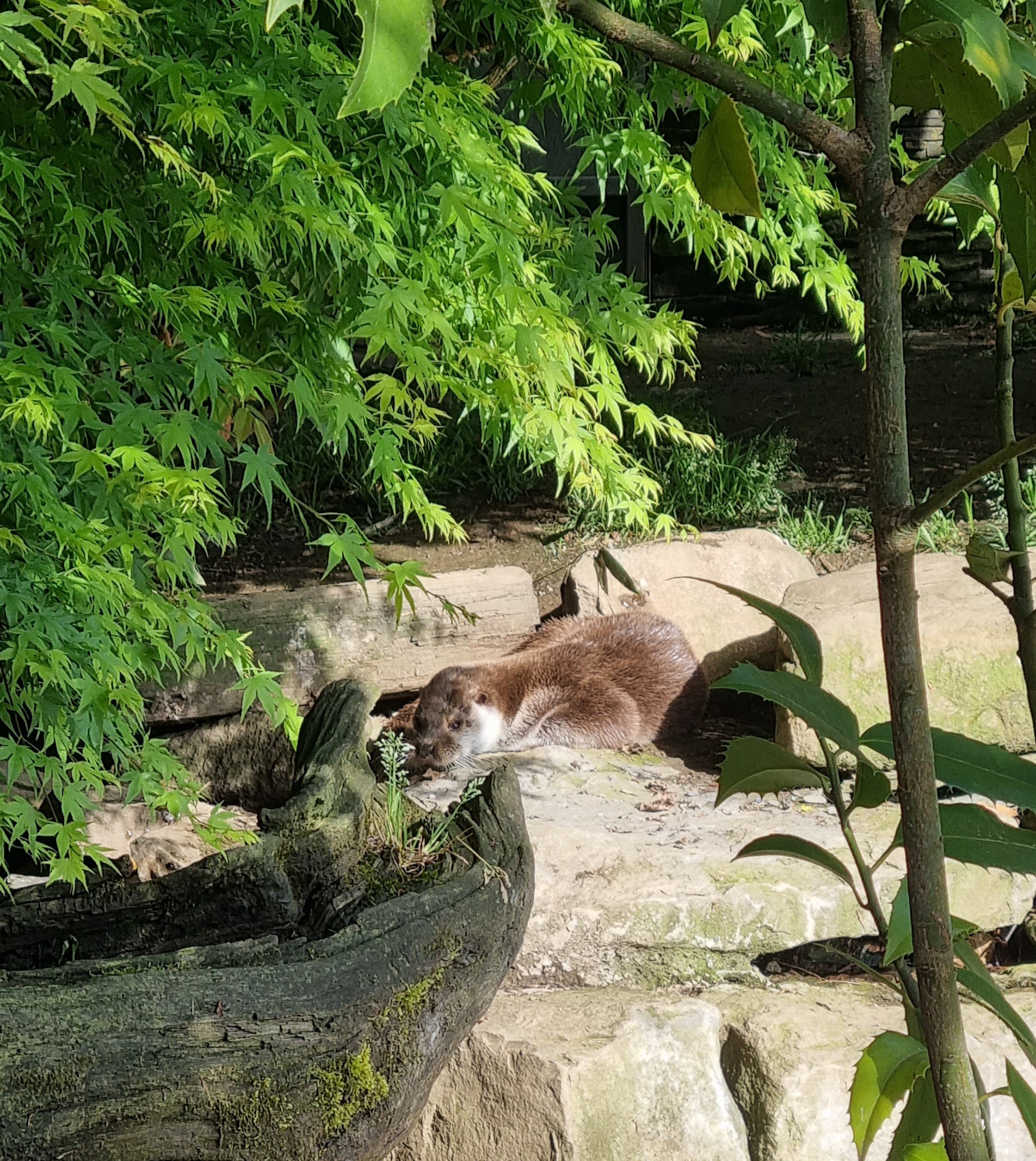 Photo n° 21 de l'avis de Anne.a fait le 25/04/2022 à 13:04