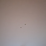 Photo n°6 de l'avis de Mar.o fait le 10/09/2023 à 14:01 sur le  Wolfshotel ® am Arendsee à Arendsee